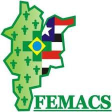 FEMACS